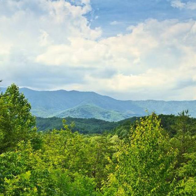 4501 Donna Allen Way: The view